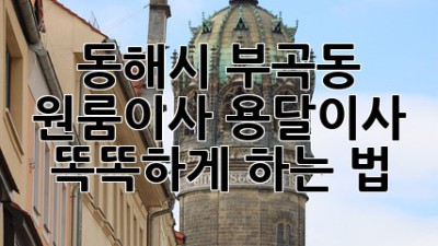 동해시 부곡동 원룸이사, 용달이사 똑똑하게 하는 법 🚚💨