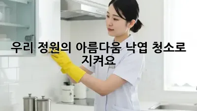 우리 정원의 아름다움, 낙엽 청소로 지켜요!